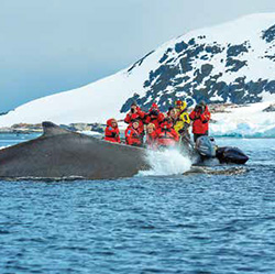 Antarctica